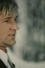 Не стреляйте в белых лебедей