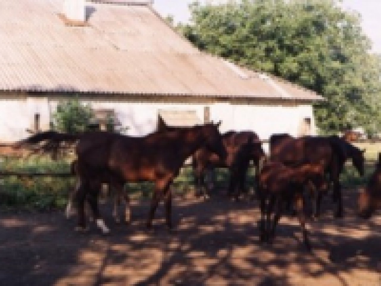 Аукцион
