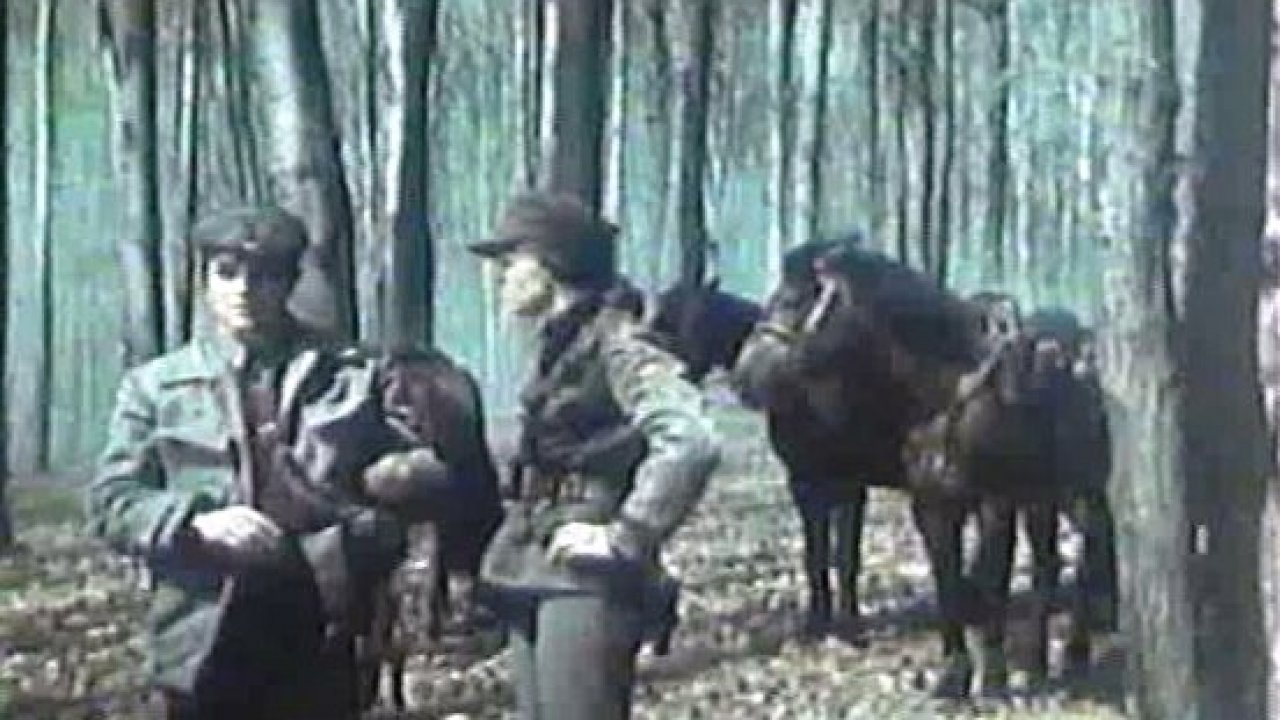 Единственная дорога