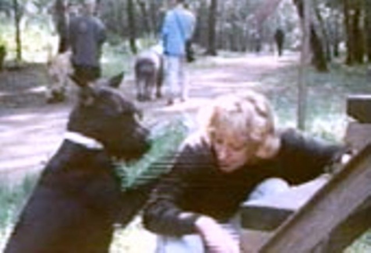 воспитание жестокости у женщин и собак отзывы