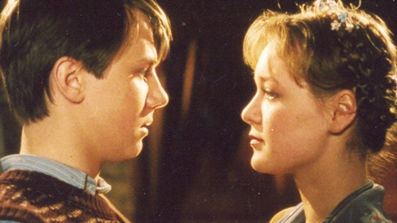 В созвездии быка