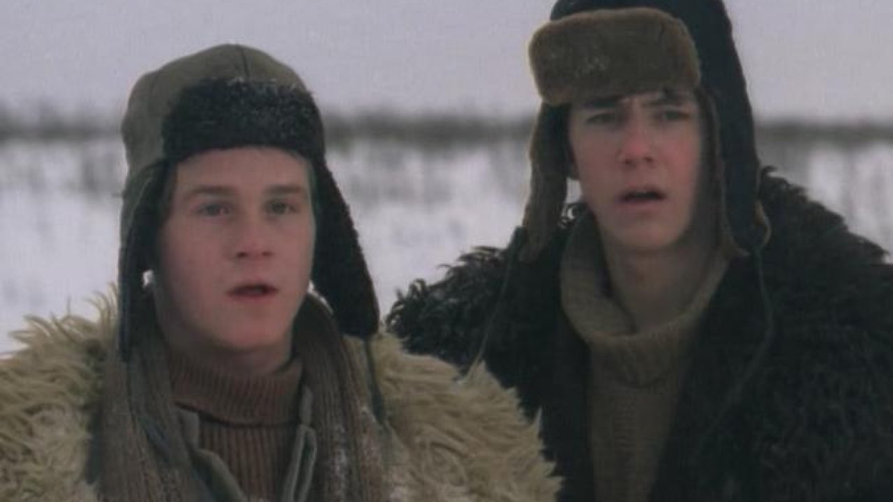 В созвездии Быка