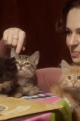 Отдам котят в хорошие руки