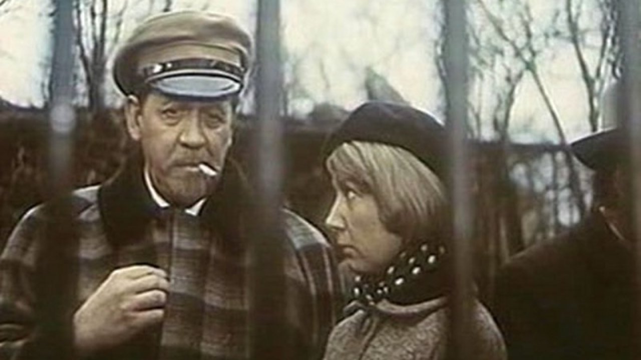 Дневные звёзды
