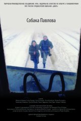 Собака Павлова