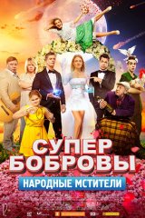 СуперБобровы. Народные мстители