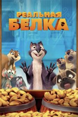Реальная белка