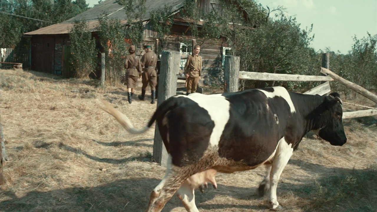 По законам военного времени — 6